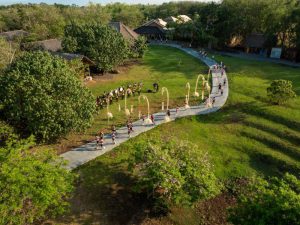 IMG-20251020-WA0032(1)