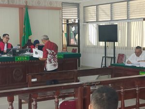 IMG_20260212_143308_copy_800x600