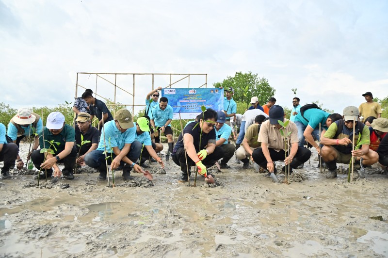 IMG-20260309-WA0117_copy_800x532