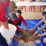 Strategi Zero Waste di Buleleng Bali, Mengubah Masalah Lingkungan Menjadi Pakan Ternak Bergizi