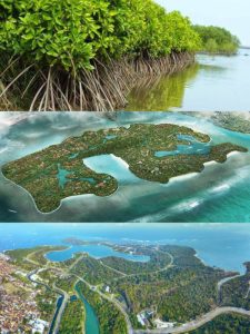 IMG-20260512-WA0034