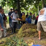 Teknologi Biomi Menjadi Solusi Baru Atasi Pencemaran Kotoran Ternak di Tabanan