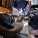 Bule Kanada Ditemukan Tewas di Vila di Bali, Polisi Temukan Pistol dengan Banyak Peluru