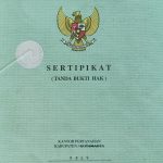 Wakil Ketua DPRD Belu Diduga Caplok Tanah Janda Lansia